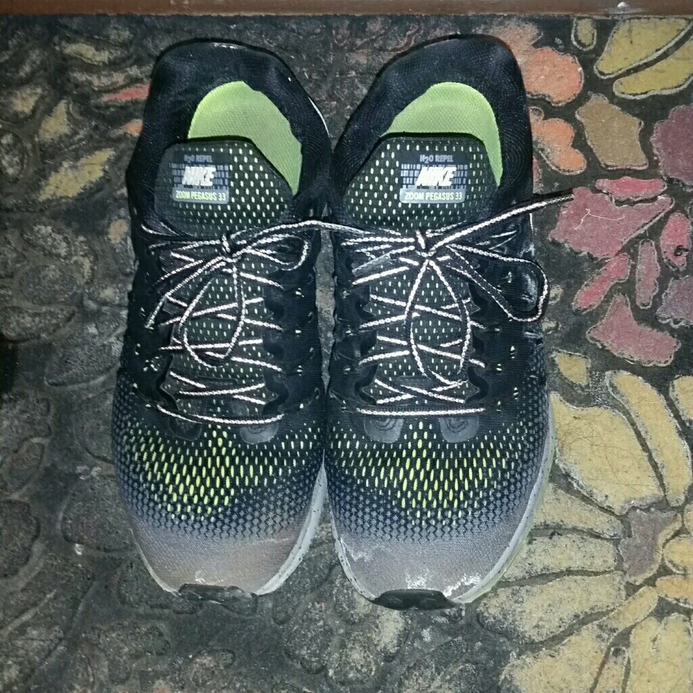 Nike Zoom Pegasus 33